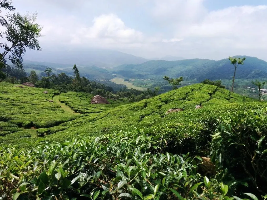 The Club Munnar Otel